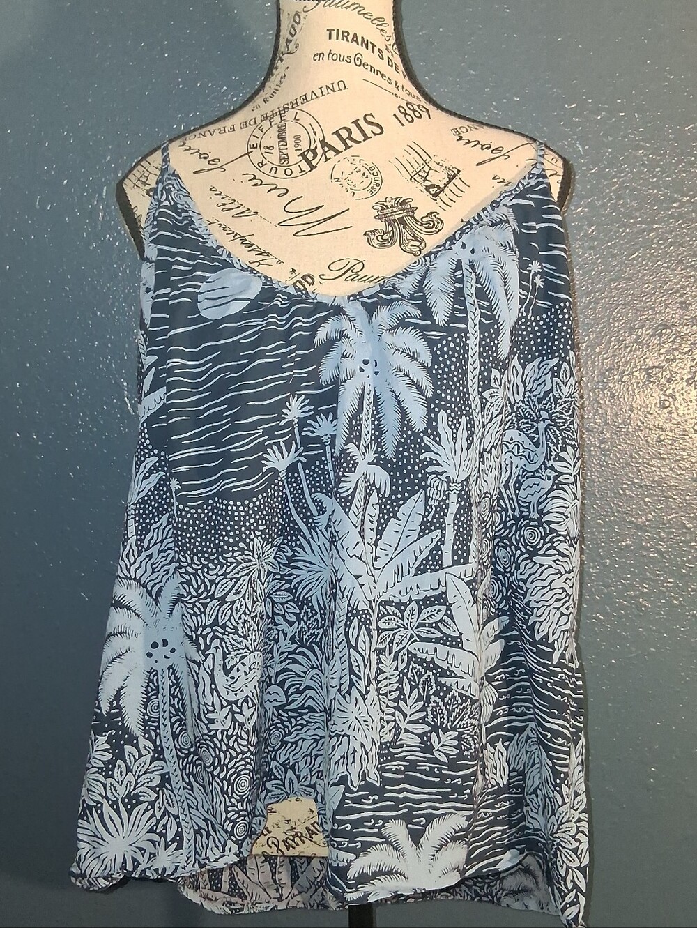 Demsey And Dempsey H&M Blue and White Tropical Cami XL